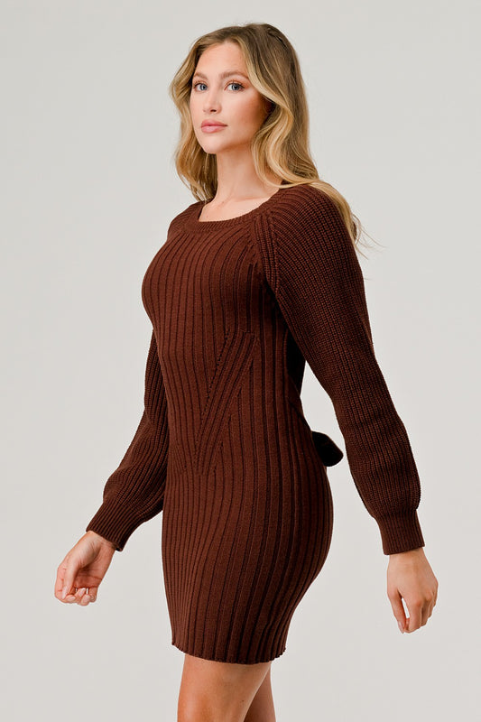 Radiant Round Neck Short Knit Mini Dress